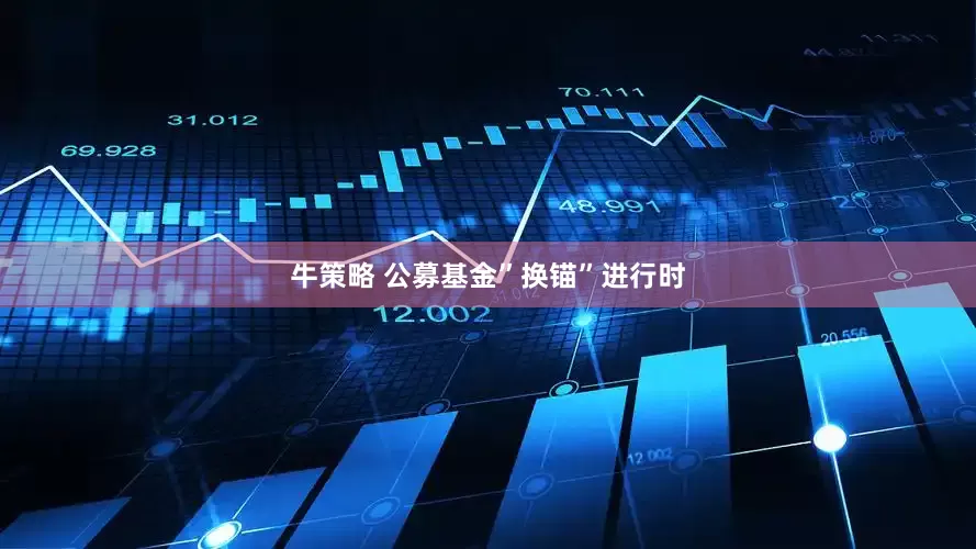 牛策略 公募基金”换锚”进行时