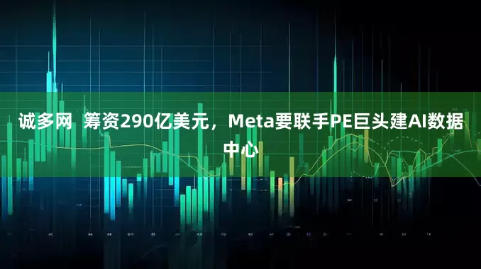 诚多网  筹资290亿美元，Meta要联手PE巨头建AI数据中心