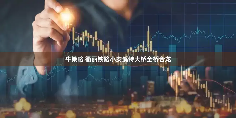 牛策略 衢丽铁路小安溪特大桥全桥合龙