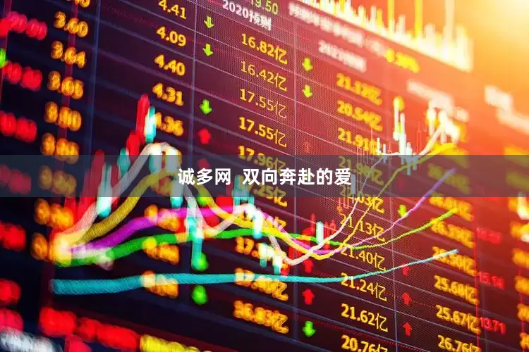 诚多网  双向奔赴的爱
