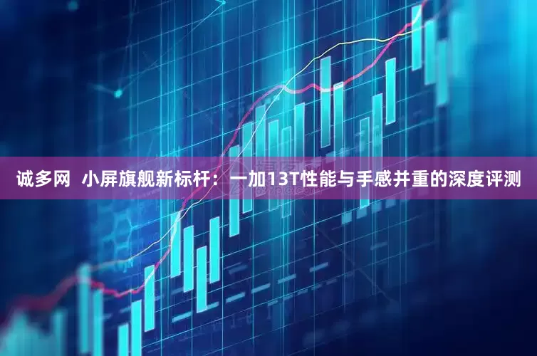 诚多网  小屏旗舰新标杆：一加13T性能与手感并重的深度评测