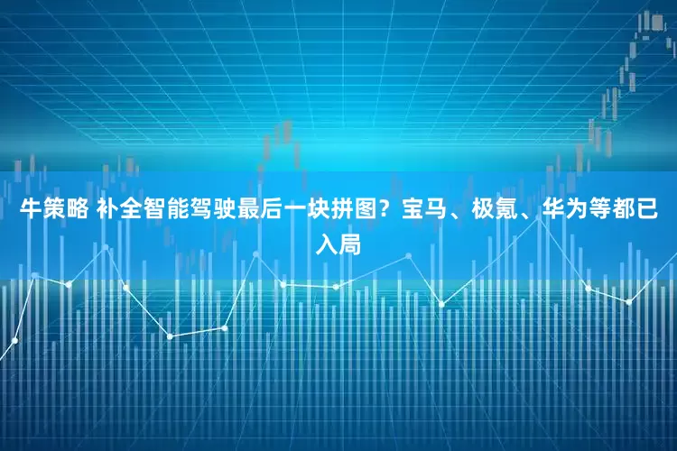 牛策略 补全智能驾驶最后一块拼图？宝马、极氪、华为等都已入局